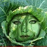 Christine Conroy