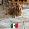 Rigoberto BL