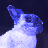 Blue Rabbit