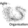 Agile Organisation