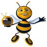 bee...live