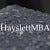 Hayslett MBA Consulting