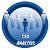 Ceoanalysispro
