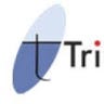 triumfo inc