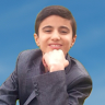 Mohammad Mehdi Mohammadizadeh