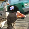 DegenerateGoose