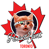 Product Hunt Toronto