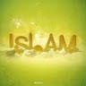 Islam means Is peace