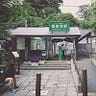 Joyu Wang 王若羽