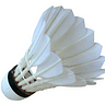 Shuttlecock Medium Writer - @Shuttlecock7 Profile image