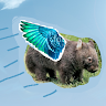 Flying Wombat