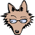 Jen Wolf