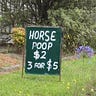 horse poo