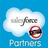 Salesforce Partners