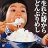 Maki Nemoto