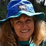 Nancy Lynch