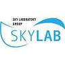 Leonid Skylab