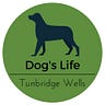 Dog's Life Tunbridge Wells