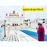 Punjabi Shera