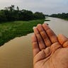 সেই অচেনা পথিক