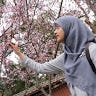 Soraya Rizka