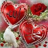 Iqra Mahmood