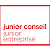 Emlyon Junior Conseil