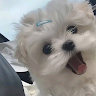 Ella Grace Velasco