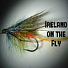 Editor Ireland on the Fly