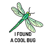 I Found a Cool Bug