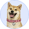 DogeGF