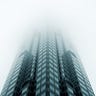 Corporate Underbelly
