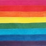 Queer History For the People