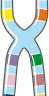 blindspotbio: research&bioinformatics as a service