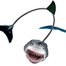 Wireshark