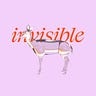 Invisible