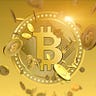 Bitcoins Exchanger