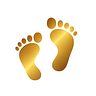 Wisdom Walking On Two Feet