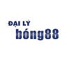 Dailybong88