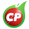CricPlay
