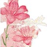 lilies