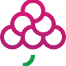 GrapesTech Solutions
