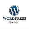WordPress Experts
