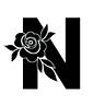 Dreamer"Nadia"