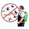 Pestcontrolbangalore