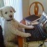 Ask an Editor