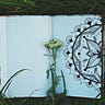 The Productivity Bible