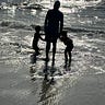 Enchanted Seashells| Pearls of wit, wisdom, whimsy
