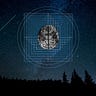 Brain Phases