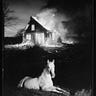 Burning Pony